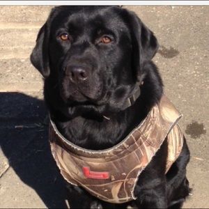 Meet your Posher, Joni